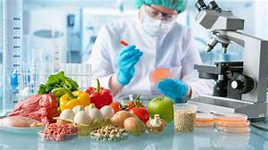 Explorando la Gastronom&iacute;a Molecular: La Ciencia Detr&aacute;s de los Sabores&nbsp;