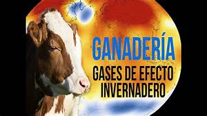 Los Beneficios de la Ganader&iacute;a Sostenible para el Medio Ambiente: Un Camino Hacia la Coexistencia Armoniosa&nbsp;