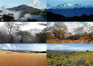 Descubriendo la Diversidad de Climas y Ecosistemas en Venezuela&nbsp;