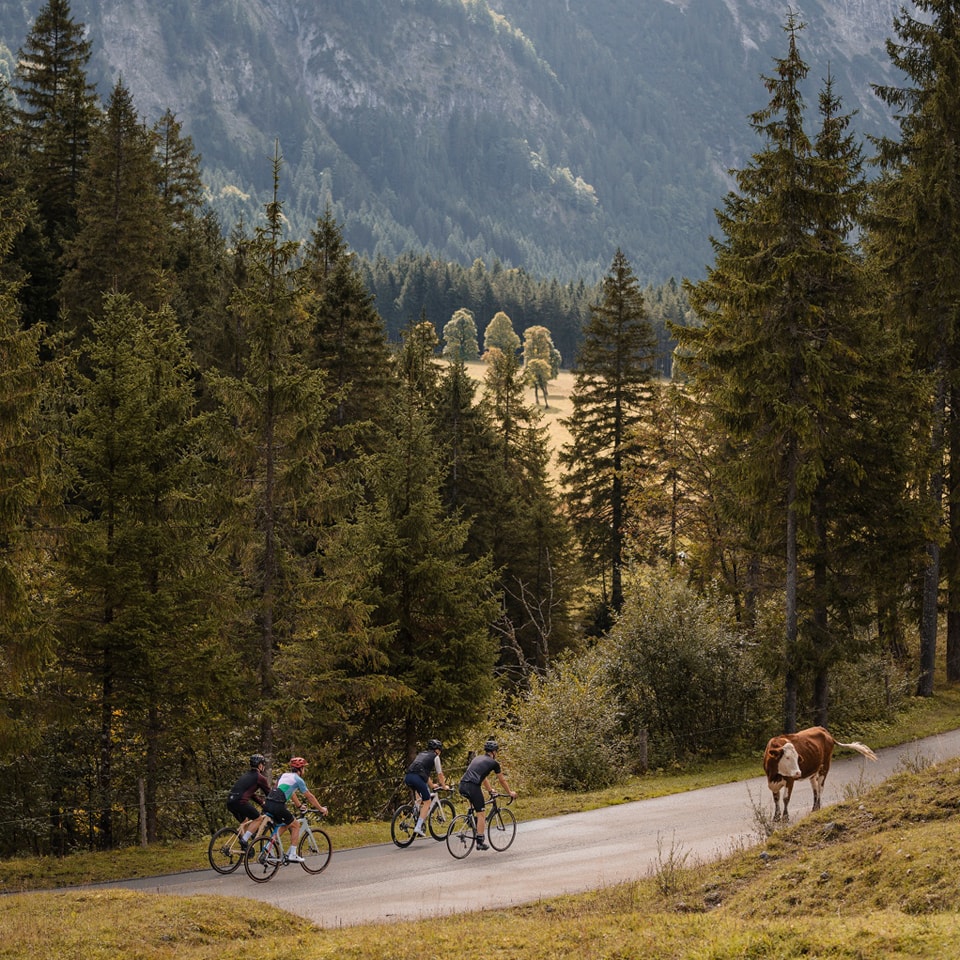 Noti- Deporte: Buycycle, la propuesta alemana para comprar bicis de segunda mano Noti- Deporte: Buycycle, la propuesta alemana para comprar bicis de segunda mano