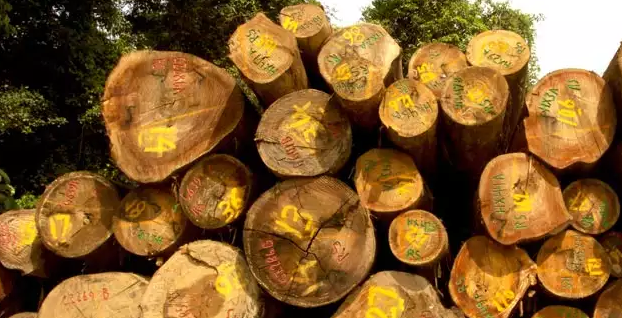 Construyendo un Futuro Sostenible: Materiales Ecol&oacute;gicos y Reciclados en la Industria de la Construcci&oacute;n&nbsp;