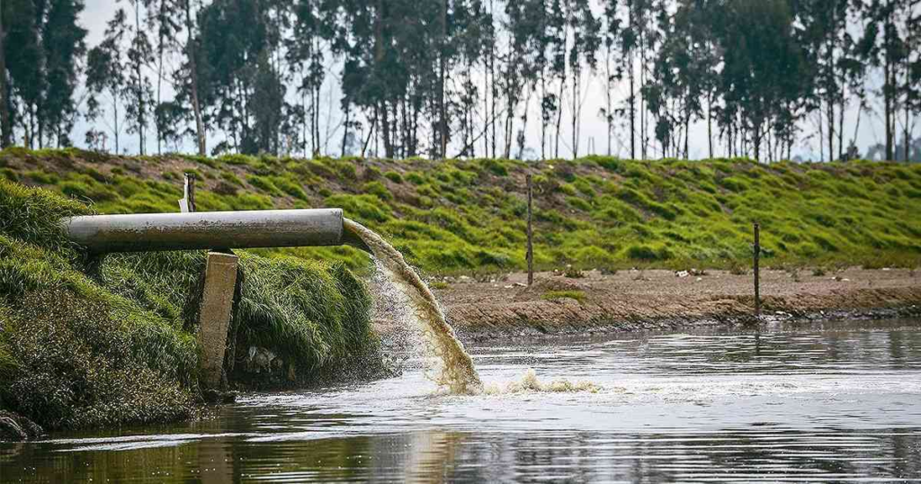 El Impacto Ambiental en Venezuela: Desafíos y Perspectivas para la Conservación El Impacto Ambiental en Venezuela: Desafíos y Perspectivas para la Conservación