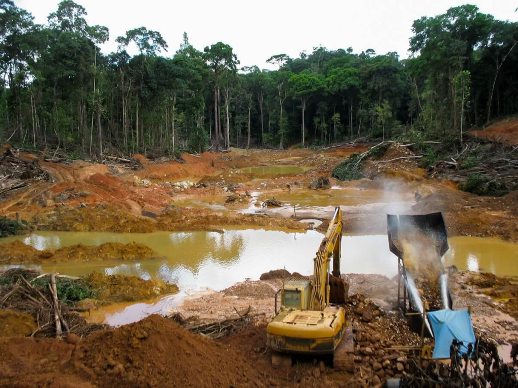 El Impacto Ambiental en Venezuela: Desafíos y Perspectivas para la Conservación El Impacto Ambiental en Venezuela: Desafíos y Perspectivas para la Conservación
