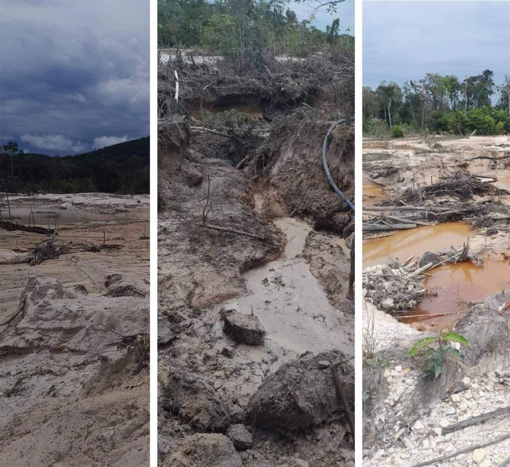 El Impacto Ambiental en Venezuela: Desafíos y Perspectivas para la Conservación El Impacto Ambiental en Venezuela: Desafíos y Perspectivas para la Conservación
