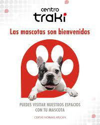 Tiendas Traki Pet Friendly: Gu&iacute;a para Identificarlas y Disfrutar con tus Mascotas&nbsp;
