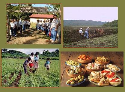 Experiencias de Turismo Rural Aut&eacute;ntico: Descubre la Belleza de la Naturaleza y las Tradiciones Locales&nbsp;