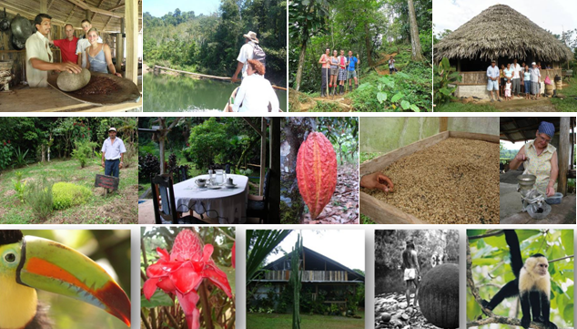 Experiencias de Turismo Rural Aut&eacute;ntico: Descubre la Belleza de la Naturaleza y las Tradiciones Locales&nbsp;