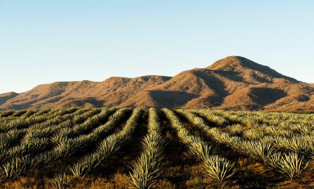 &nbsp;Descubriendo la Belleza de los Destinos Rurales: Planificaci&oacute;n de Rutas y Actividades para una Experiencia Inolvidable