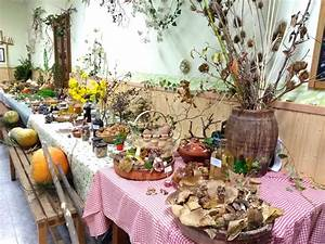 Descubre las Actividades T&iacute;picas en el Turismo Rural: Sum&eacute;rgete en la Autenticidad de la Vida Rural&nbsp;