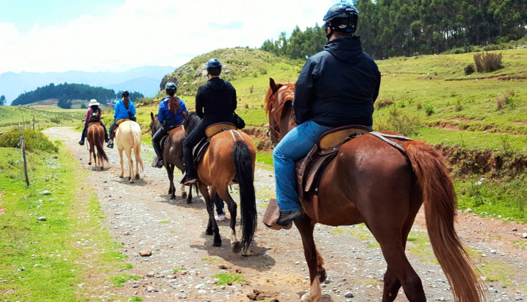 Descubre las Actividades T&iacute;picas en el Turismo Rural: Sum&eacute;rgete en la Autenticidad de la Vida Rural&nbsp;