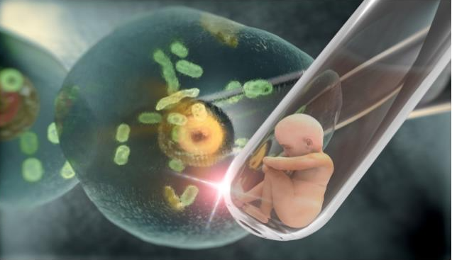 Explorando las Fronteras de la Reproducci&oacute;n Asistida: Inseminaci&oacute;n Artificial y Transferencia de Embriones
