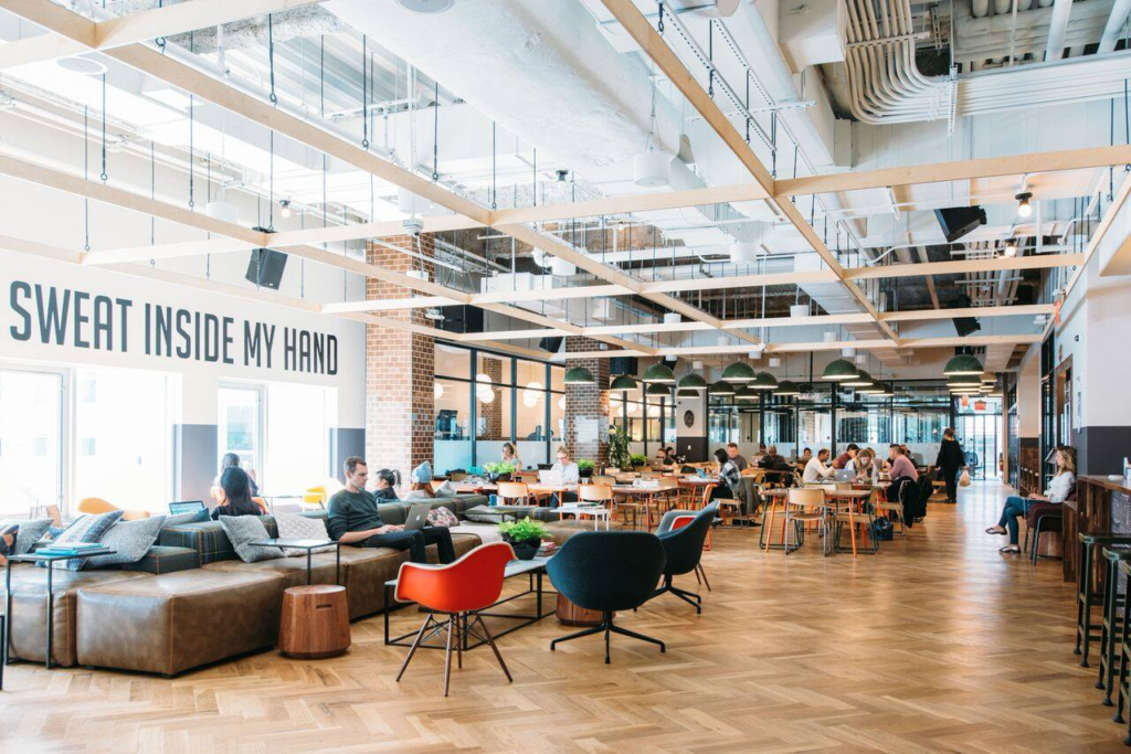 Actores Clave en el Ecosistema Startup: Impulsores de la Innovaci&oacute;n Empresarial&nbsp;