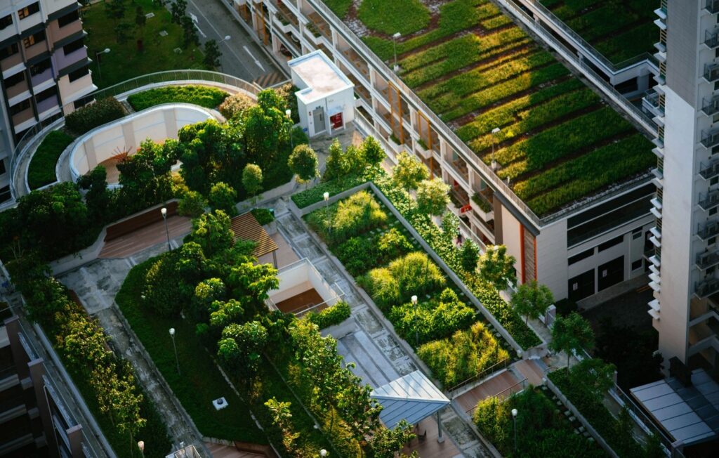 Planificaci&oacute;n Urbana: Dise&ntilde;ando Ciudades para un Futuro Sostenible&nbsp;