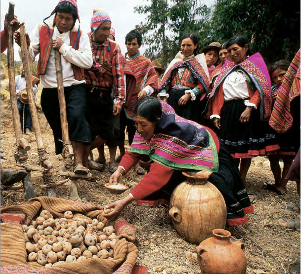 Sabores Ancestrales: La Cocina y los Alimentos en las Culturas Prehisp&aacute;nicas de Am&eacute;rica&nbsp;
