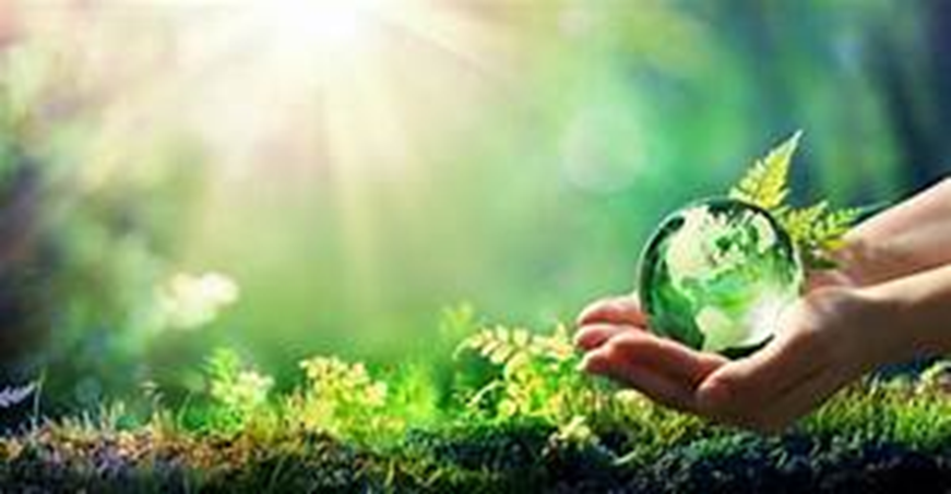 La Evoluci&oacute;n del Pensamiento Ecol&oacute;gico: Un Viaje a Trav&eacute;s del Tiempo