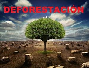 Amenazas a la Biodiversidad: Deforestaci&oacute;n, Contaminaci&oacute;n y Cambio Clim&aacute;tico&nbsp;