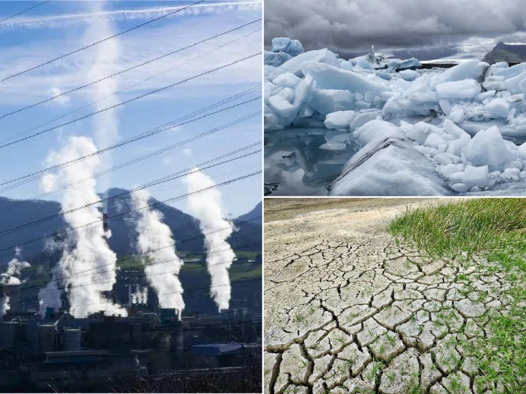 Amenazas a la Biodiversidad: Deforestaci&oacute;n, Contaminaci&oacute;n y Cambio Clim&aacute;tico&nbsp;