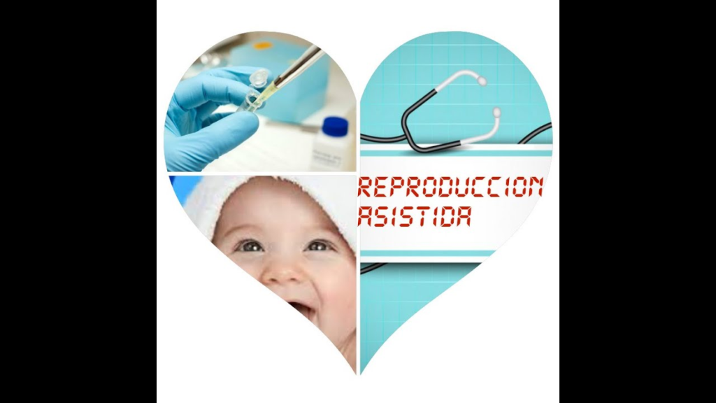Explorando las Técnicas de Reproducción Asistida: De la Inseminación Artificial a la Transferencia de Embriones Explorando las Técnicas de Reproducción Asistida: De la Inseminación Artificial a la Transferencia de Embriones