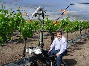 Innovaciones en técnicas de cultivo y vinificación: Cómo la tecnología está transformando la industria vinícola Innovaciones en técnicas de cultivo y vinificación: Cómo la tecnología está transformando la industria vinícola