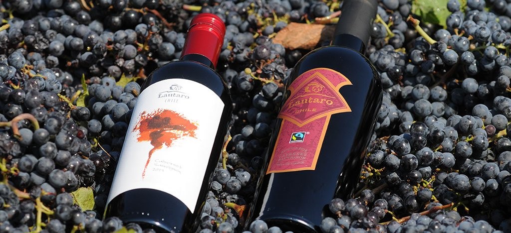 El Apasionante Auge de los Vinos Ecol&oacute;gicos y de Comercio Justo&nbsp;
