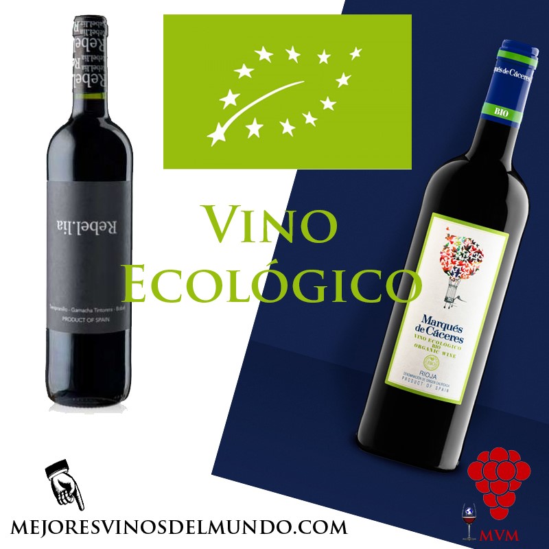 El Apasionante Auge de los Vinos Ecol&oacute;gicos y de Comercio Justo&nbsp;