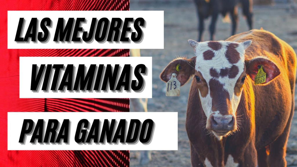 Luis Alejandro Sampayo Cabada | Descubre los Mejores Tipos de Alimentaci&oacute;n Animal para un Ganado Sano y Productivo&nbsp;