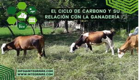 Treseus | C&oacute;mo la ganader&iacute;a puede contribuir a la captaci&oacute;n de carbono&nbsp;