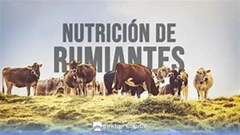 Treseus |Formulaci&oacute;n de Dietas seg&uacute;n la Clase de Animal y su Etapa Productiva