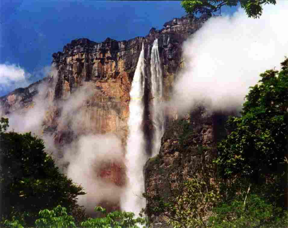 Hjalmar Jes&uacute;s Gibelli G&oacute;mez: Proyectos de Conservaci&oacute;n en Venezuela: C&oacute;mo Puedes Ayudar