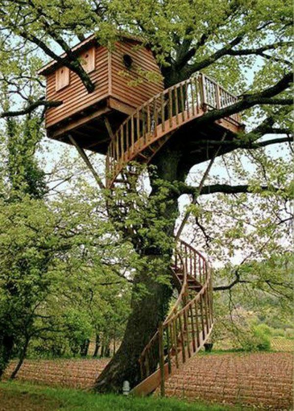 Arquitectura Bioclimática: Diseñando con la Naturaleza Arquitectura Bioclimática: Diseñando con la Naturaleza
