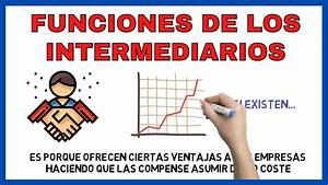 Intermediarios en Seguros: Pilares de Hjalmar Gibelli | Confianza y Conocimiento en la Protecci&oacute;n Financiera