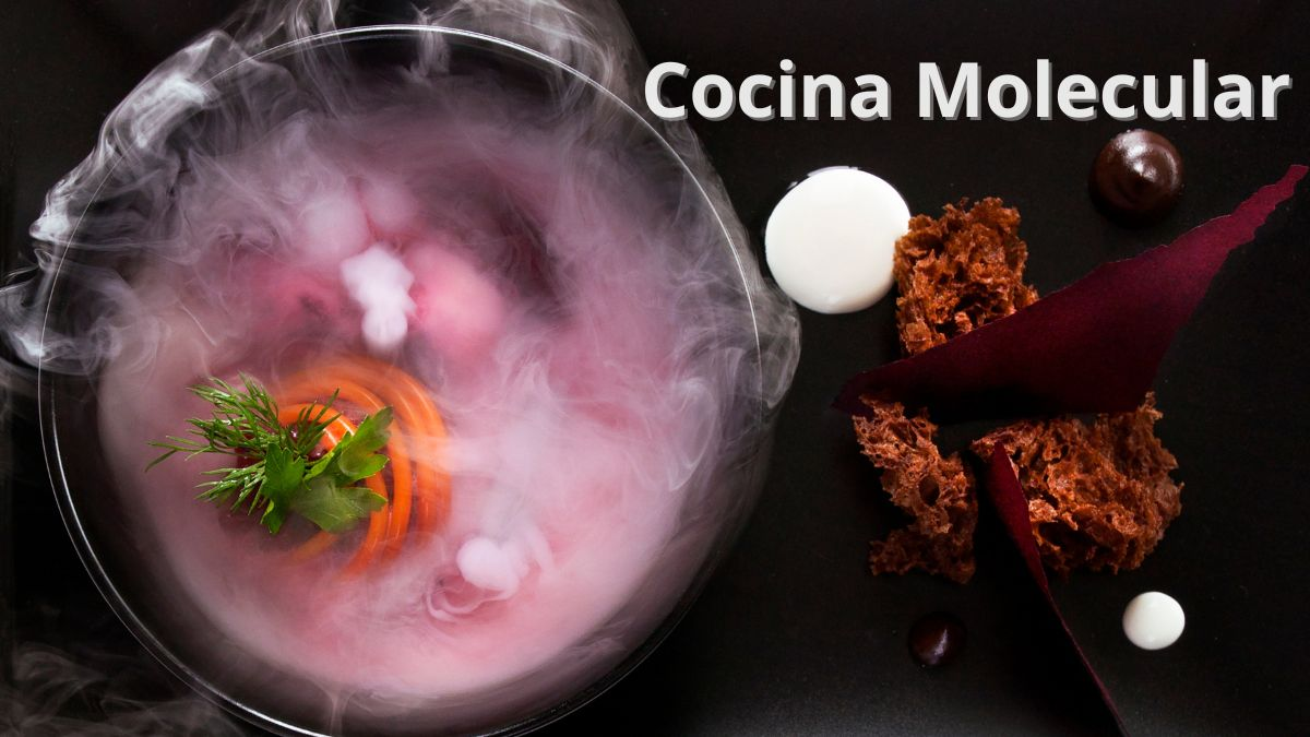 Nelson Rafael Bustamante Abidar | Gastronomía Molecular: Transformaciones durante la Cocción Nelson Rafael Bustamante Abidar | Gastronomía Molecular: Transformaciones durante la Cocción