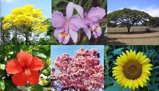 Hjalmar Jes&uacute;s Gibelli G&oacute;mez | La Biodiversidad de Venezuela: Un Tesoro Natural en Peligro