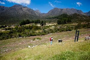 Destinos de Turismo Rural en Venezuela: Un Viaje a la Naturaleza