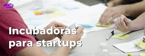 Arcelia Ortega | Programas y M&eacute;todos para Acelerar el Crecimiento de Startups Aseguradoras