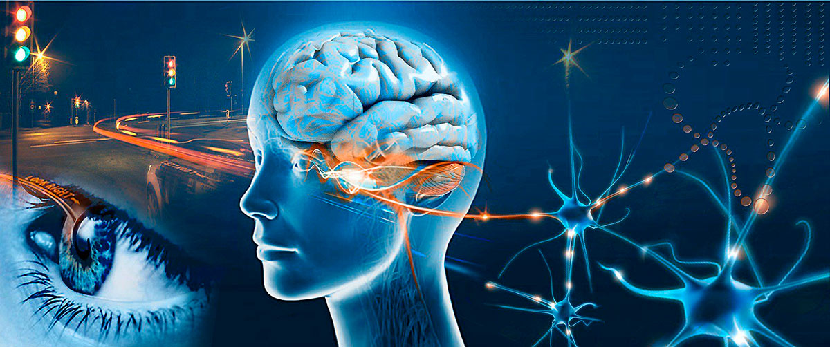Arcelia Ortega | Explorando la Conexi&oacute;n Emocional: C&oacute;mo las Emociones Moldean nuestra Percepci&oacute;n del Arte y la Literatura