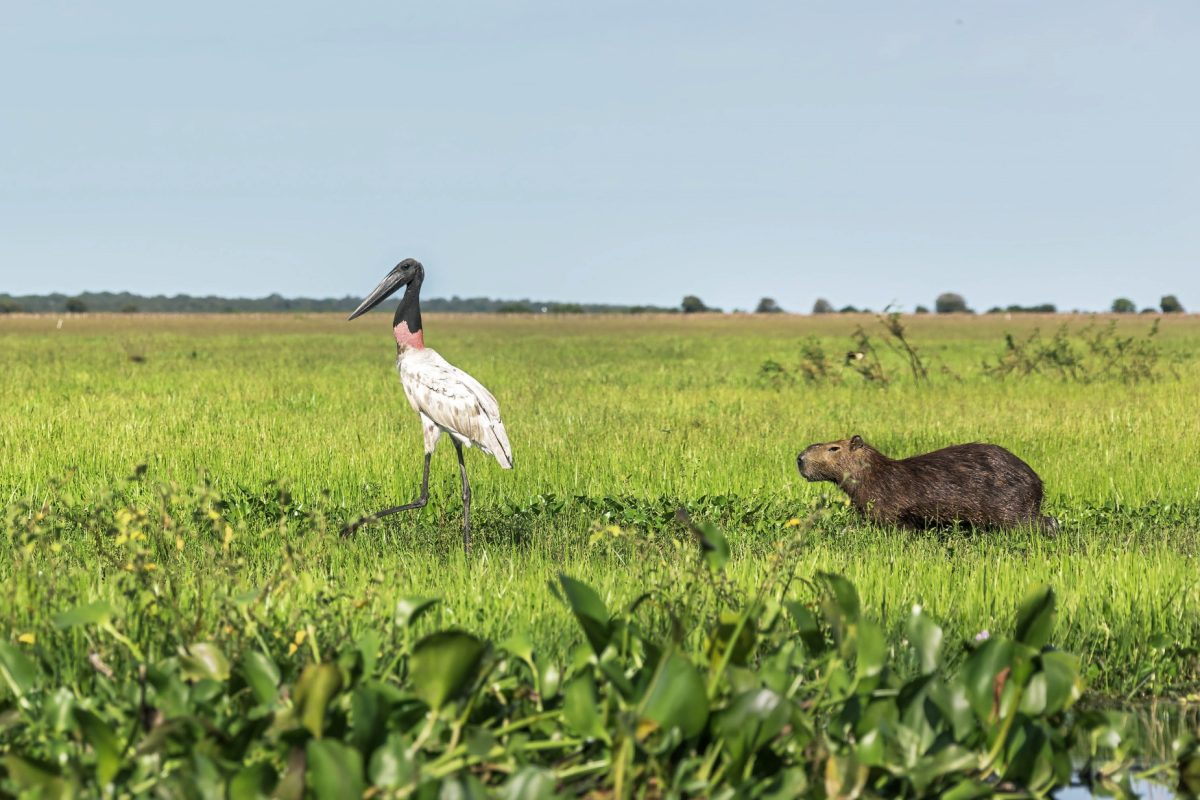 Destinos de Turismo Rural en Venezuela: Un Viaje a la Naturaleza