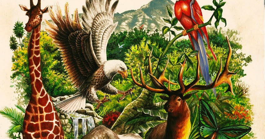 Hjalmar Jes&uacute;s Gibelli G&oacute;mez | La Biodiversidad de Venezuela: Un Tesoro Natural en Peligro