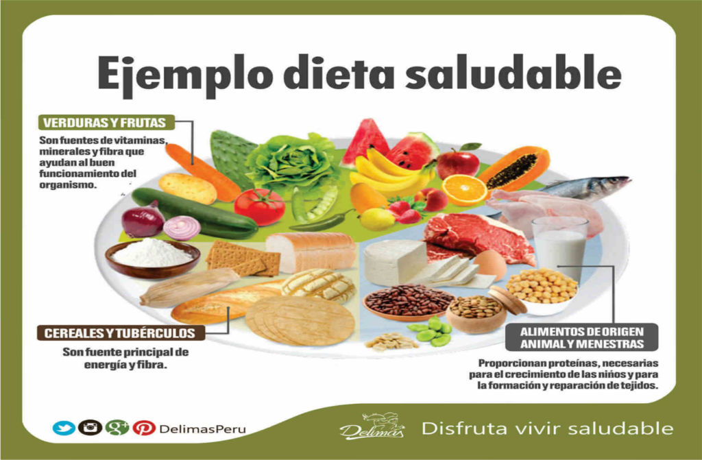 Dietas y Estilos de Alimentación Saludables: Guía para una Vida Equilibrada Dietas y Estilos de Alimentación Saludables: Guía para una Vida Equilibrada