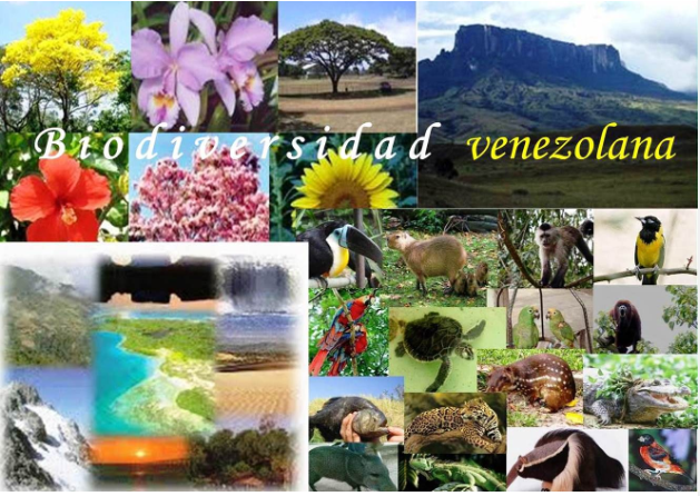 Hjalmar Jes&uacute;s Gibelli G&oacute;mez | La Biodiversidad de Venezuela: Un Tesoro Natural en Peligro