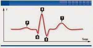 Oswaldo Karam Macia | El papel crucial de las funciones trigonométricas en la medicina: Más allá de los números Oswaldo Karam Macia | El papel crucial de las funciones trigonométricas en la medicina: Más allá de los números