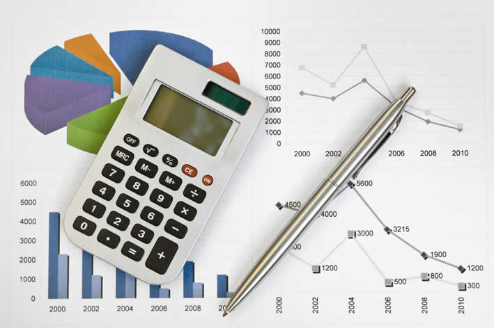 Dominando las Finanzas: Estrategias para Realizar un An&aacute;lisis Financiero Efectivo por Ligia Carolina Gorri&ntilde;o Castellar