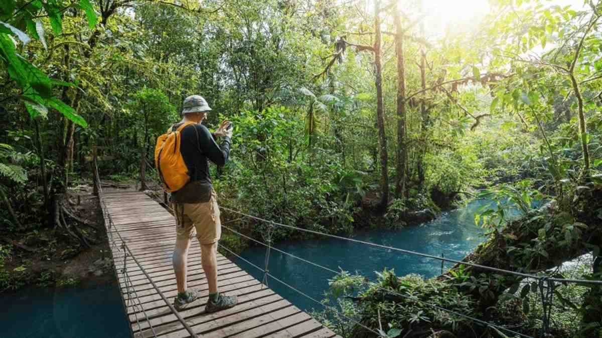 El Turismo Ecol&oacute;gico como Pilar de la Sostenibilidad en la Industria Tur&iacute;stica