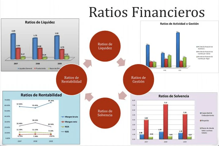 Dominando las Finanzas: Estrategias para Realizar un An&aacute;lisis Financiero Efectivo por Ligia Carolina Gorri&ntilde;o Castellar