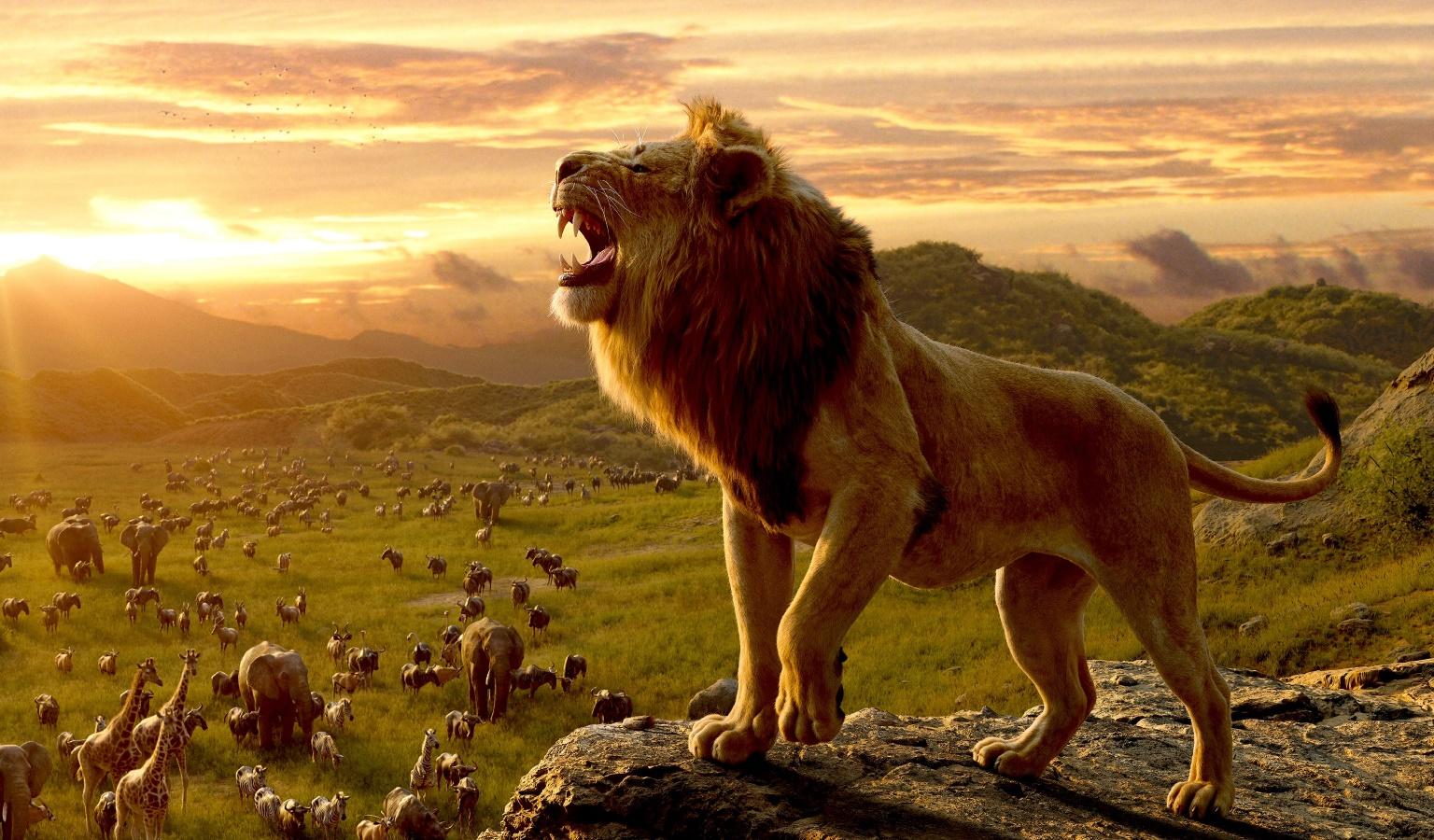 Evenpro nos ense&ntilde;a a explorar Las 7 Pel&iacute;culas Taquilleras M&aacute;s Importantes: Un Vistazo al &Eacute;xito en la Pantalla Grande