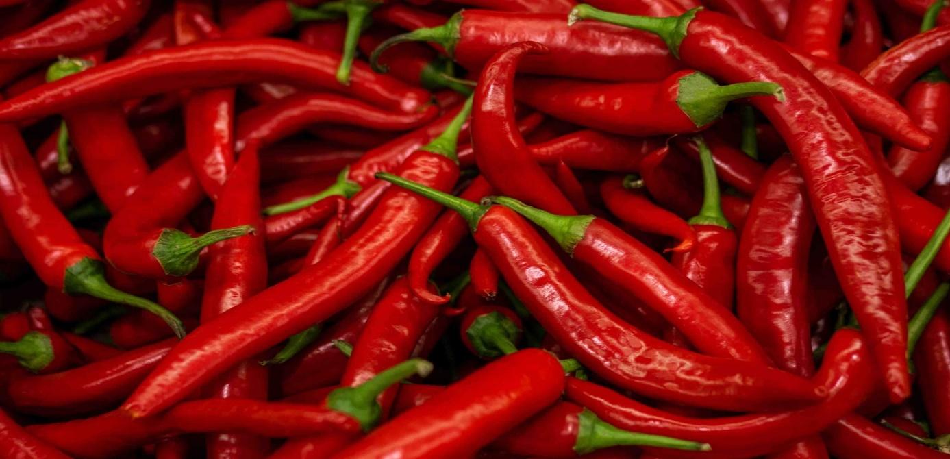 Francesco Lovaglio Tafuri | Ingredientes Esenciales en la Cocina Mexicana Francesco Lovaglio Tafuri | Ingredientes Esenciales en la Cocina Mexicana