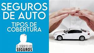Hjalmar Gibelli: Tipos de Cobertura de Seguro de Auto: &iquest;Cu&aacute;l es la Mejor Opci&oacute;n para Ti?