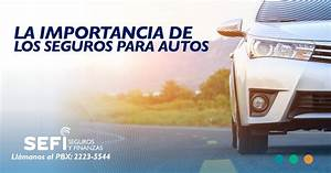 La Importancia del Seguro de Auto: Protecci&oacute;n Financiera en Accidentes