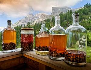 El Impacto de la Sostenibilidad en la Producci&oacute;n de Bebidas Alcoh&oacute;licas: Hacia un Futuro Responsable
