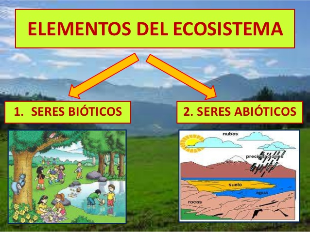 El Equilibrio Invisible: Explorando el Papel Crucial de los Factores Abi&oacute;ticos y Bi&oacute;ticos en la Ecolog&iacute;a con Hjalmar Jes&uacute;s Gibelli